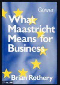 What Maastricht Mean for Business